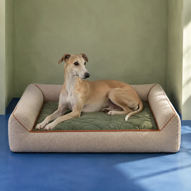 Pinterest Sage Pet Nook — ImgKick test output
