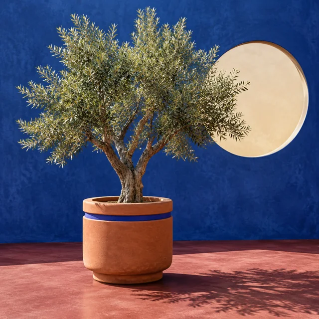 Pinterest Cobalt Courtyard — ImgKick test output